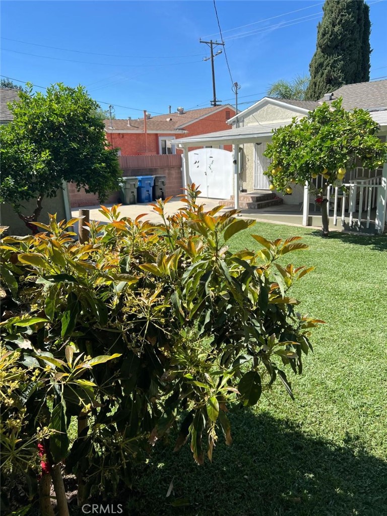 main property photo 38