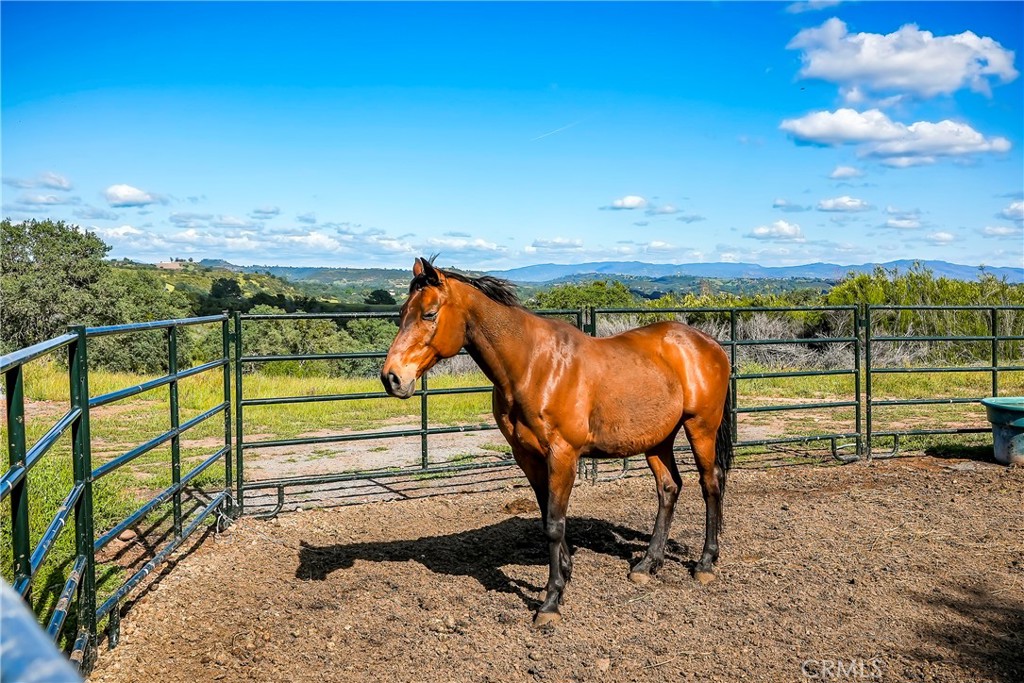 main property photo 72