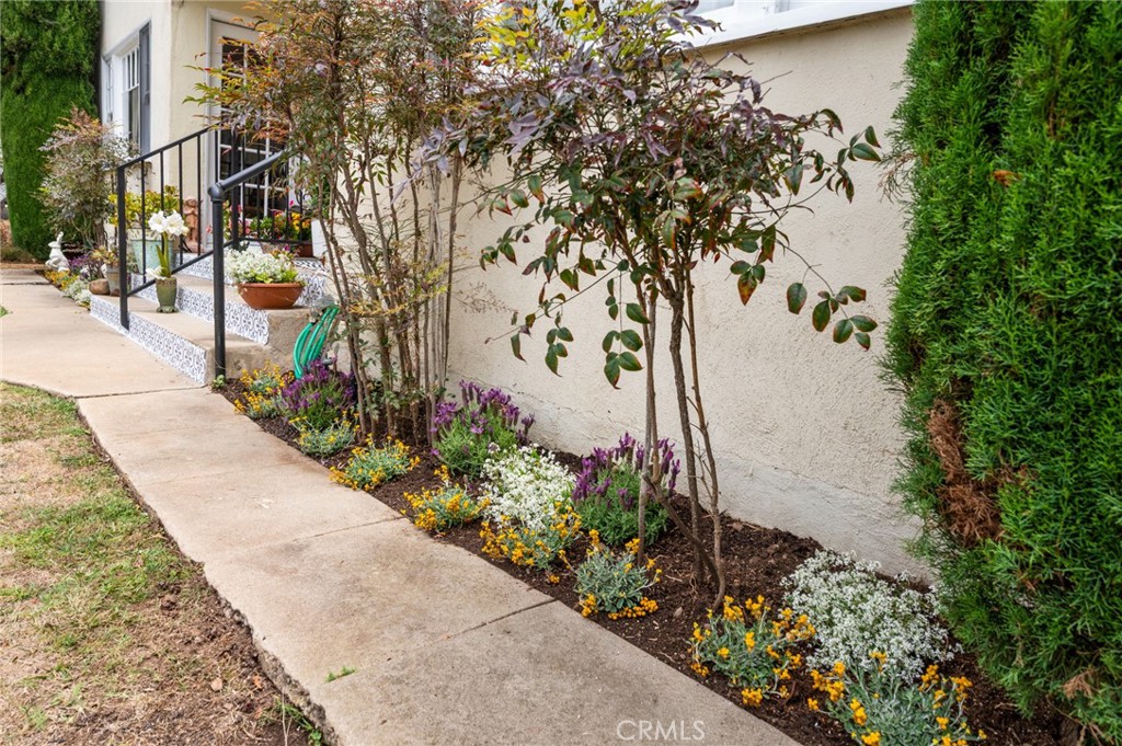 main property photo 41