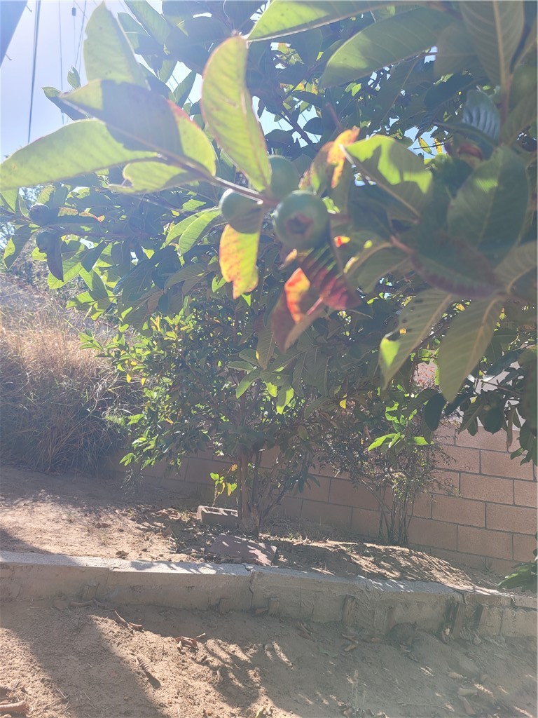 main property photo 56