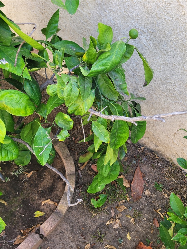 main property photo 58