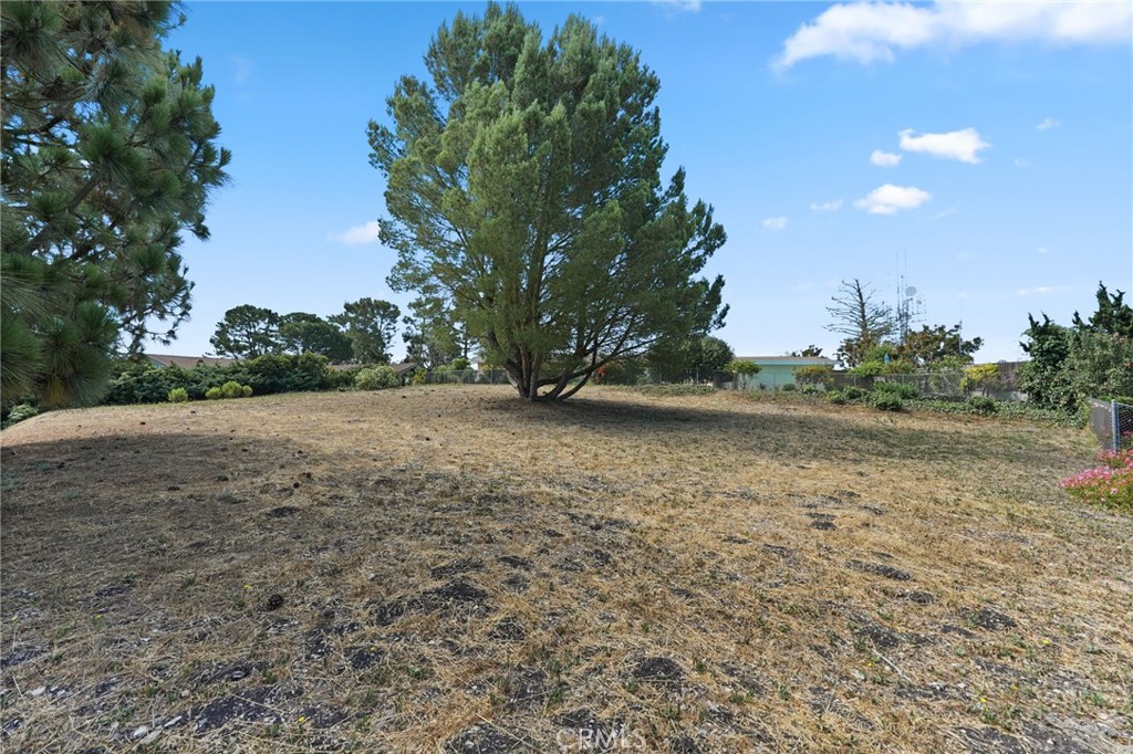 main property photo 13