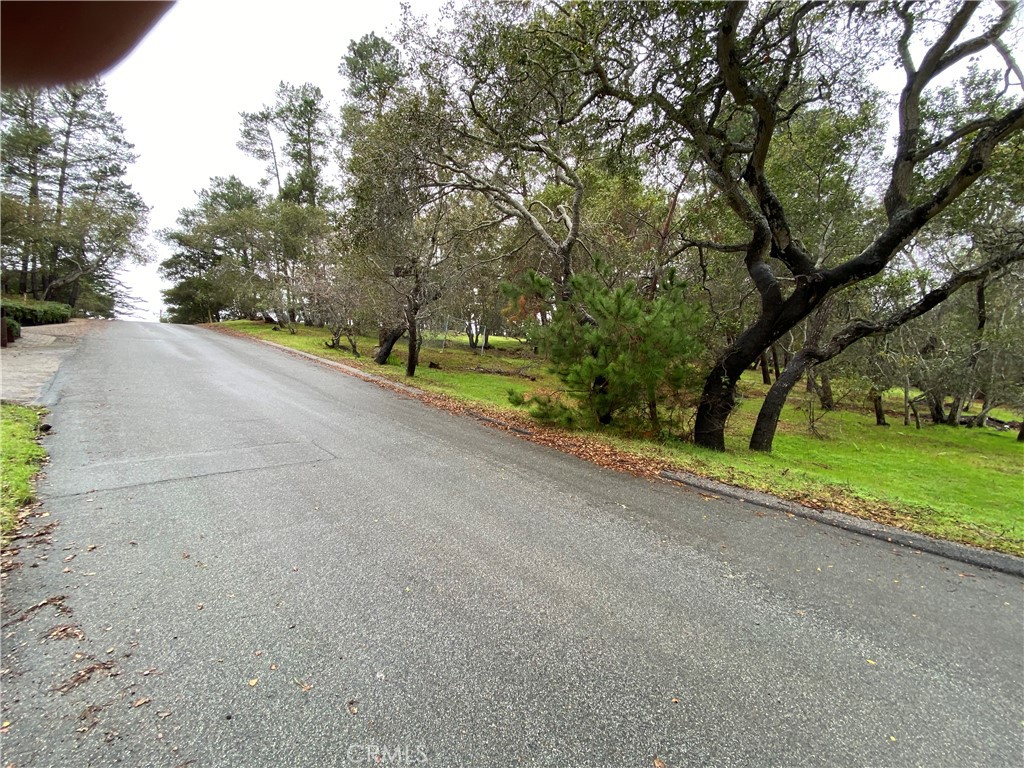 main property photo 14