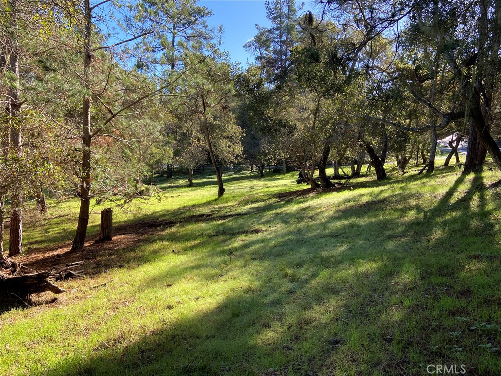 main property photo 18