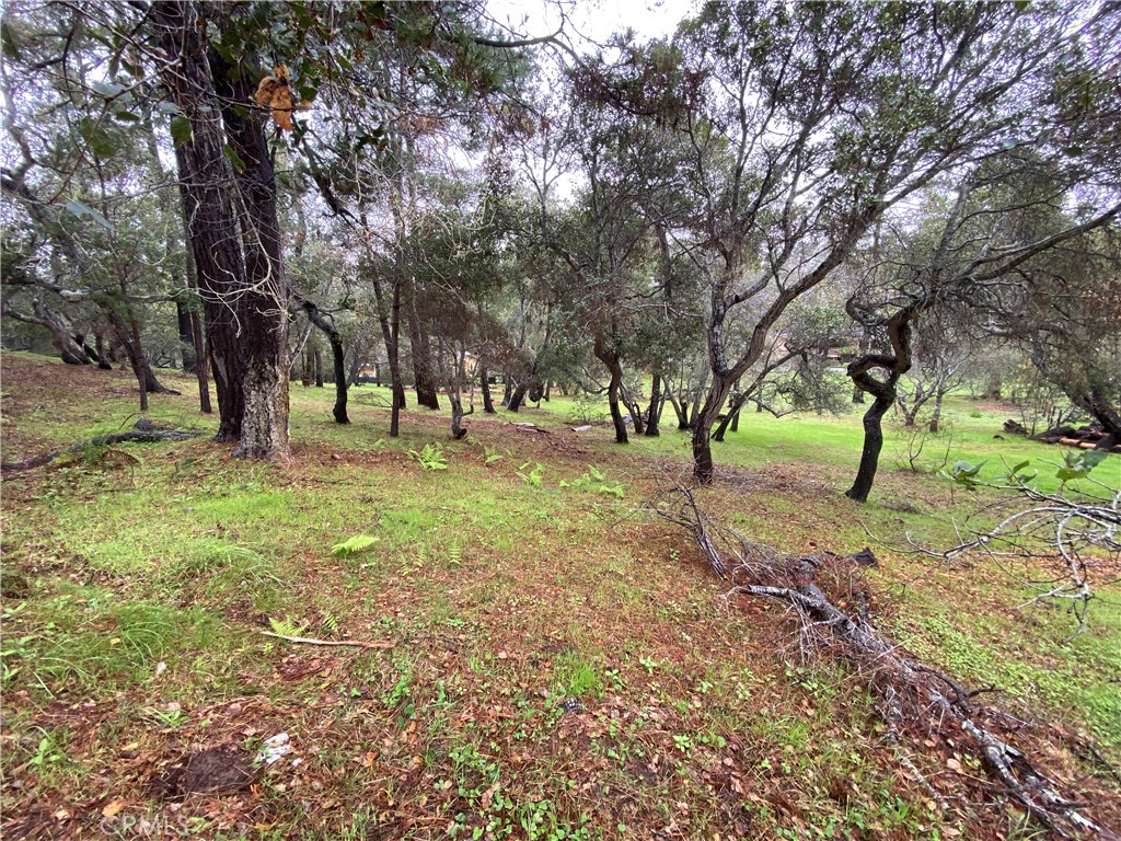 main property photo 8