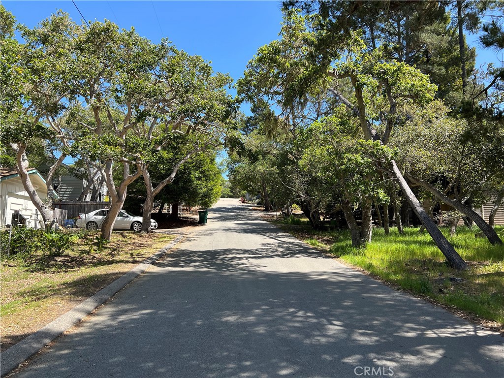 main property photo 4