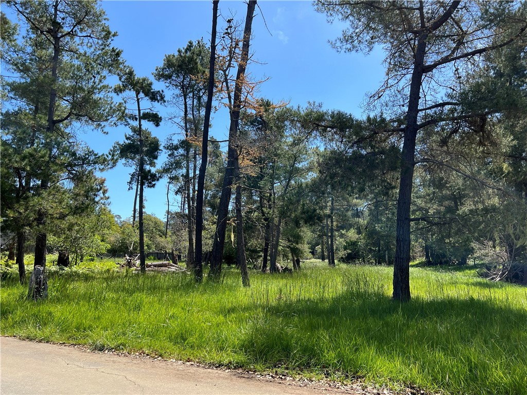 main property photo 8
