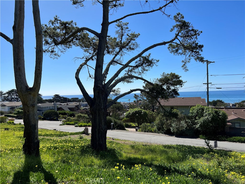 main property photo 7