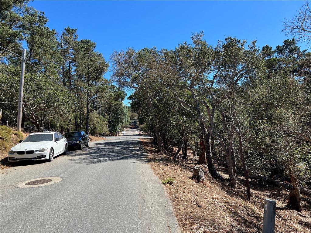 main property photo 4