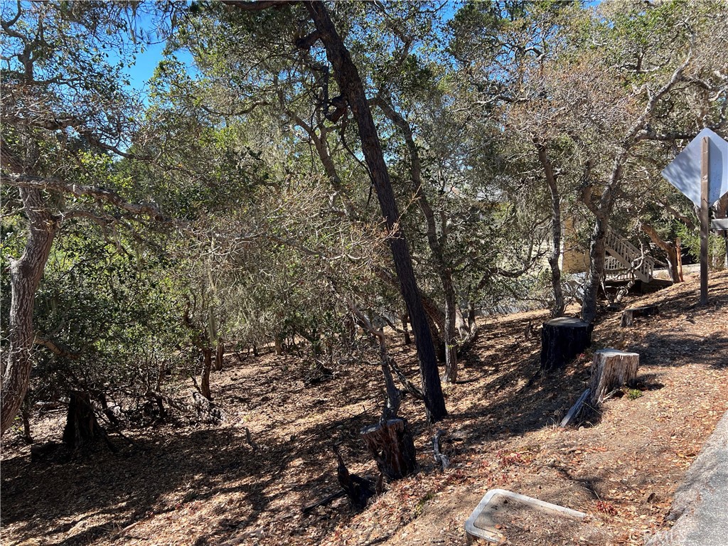 main property photo 6