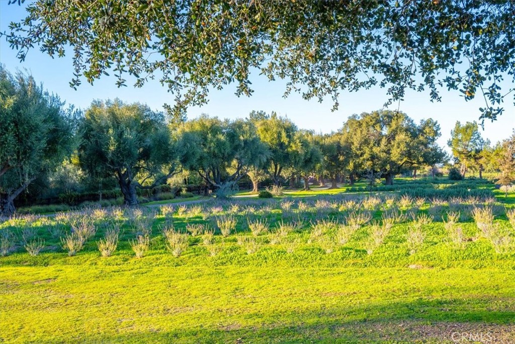main property photo 66