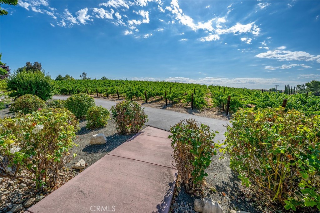 main property photo 57