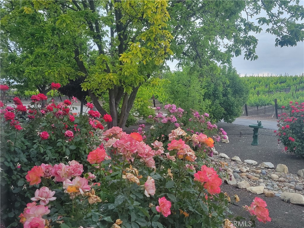 main property photo 58