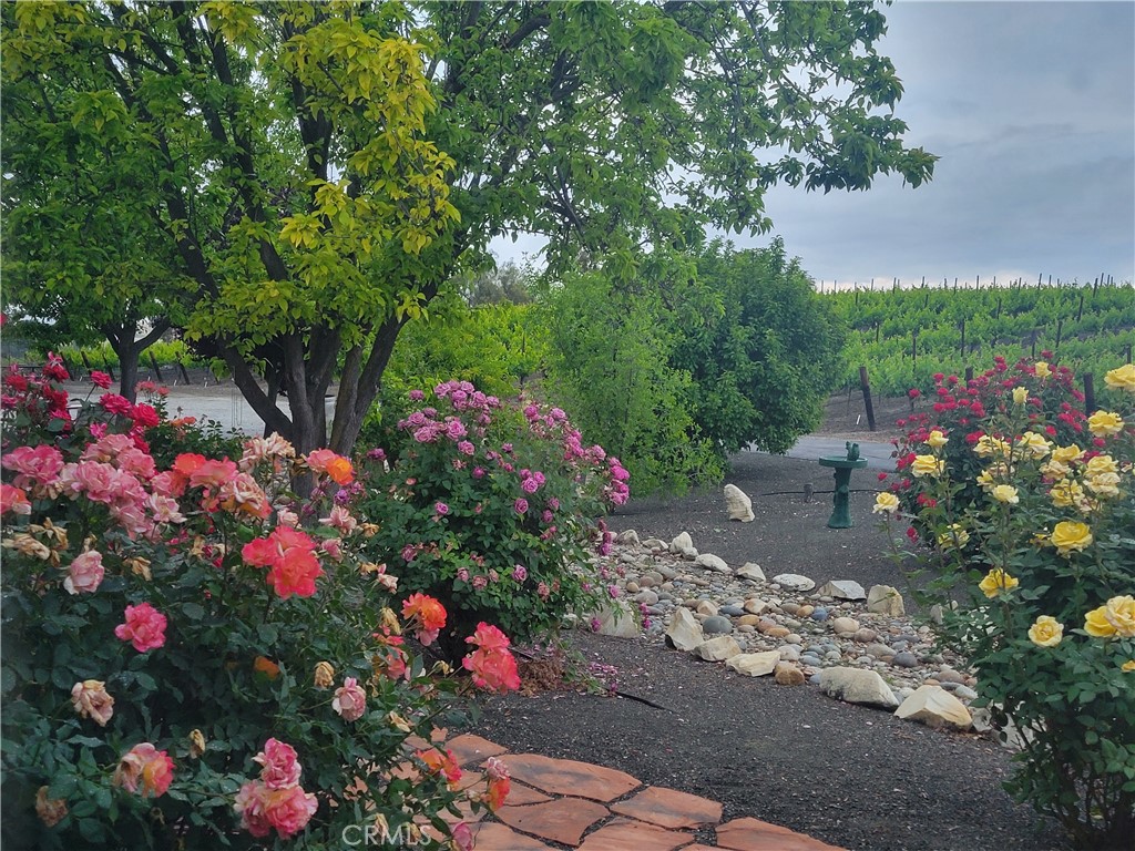 main property photo 59
