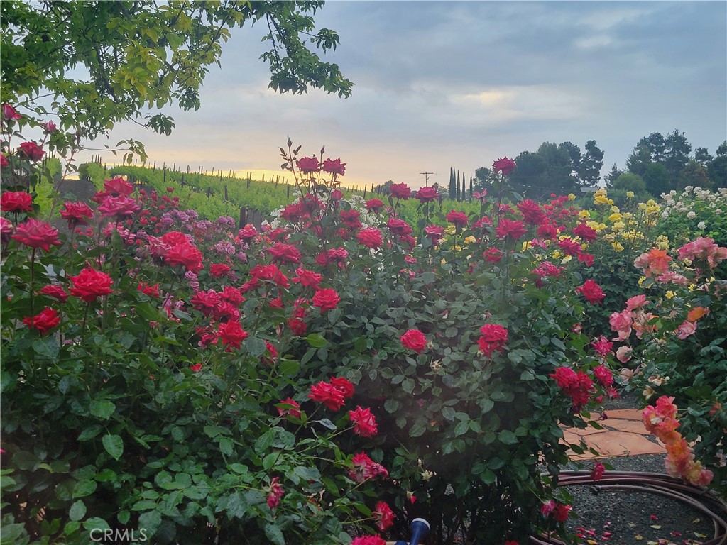 main property photo 63