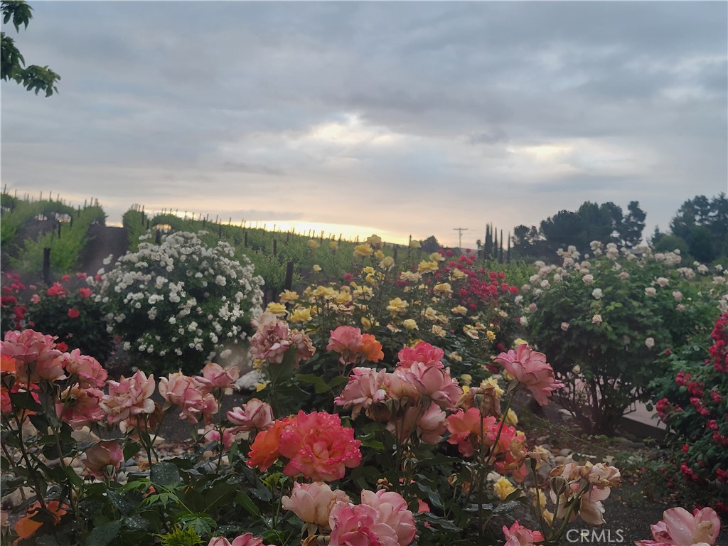 main property photo 64