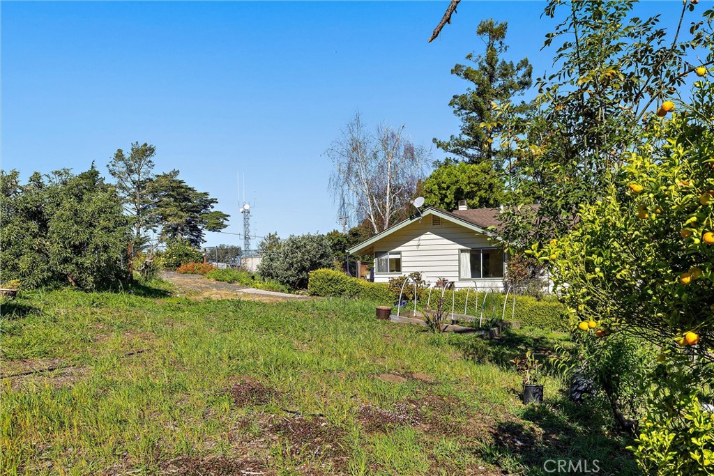 main property photo 3