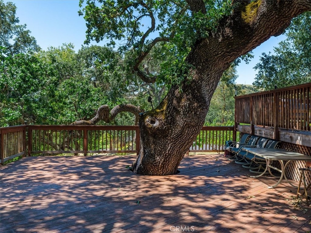 main property photo 42