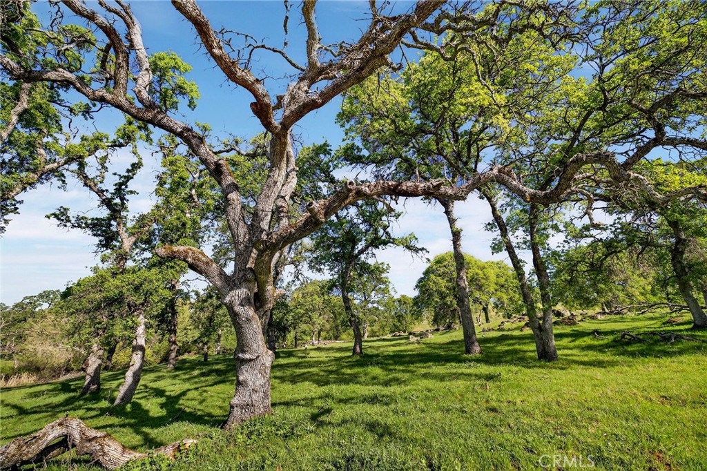 main property photo 66