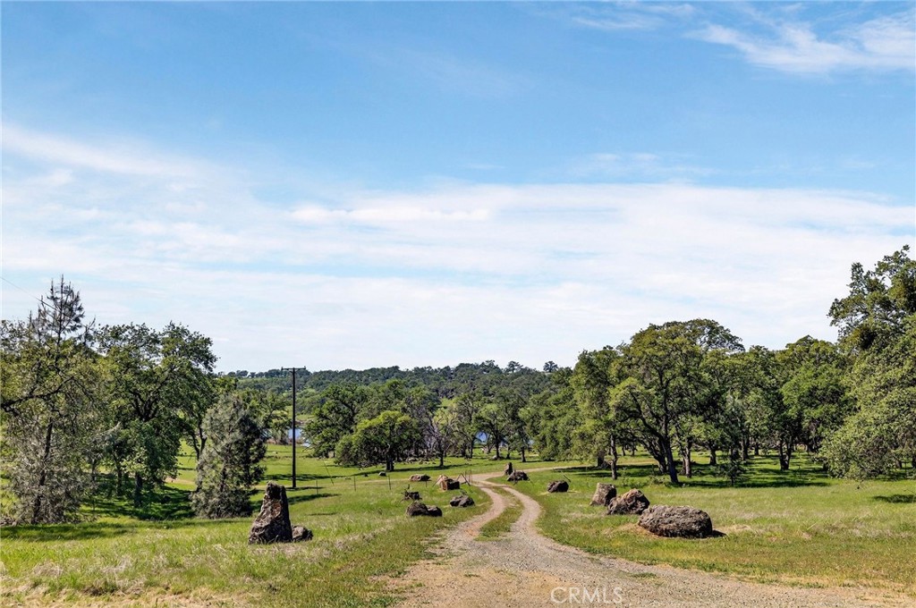 main property photo 68
