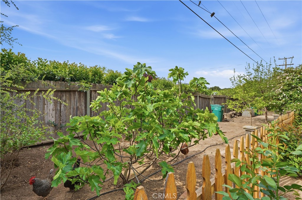 main property photo 26