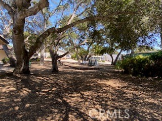 main property photo 43