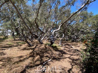 main property photo 50