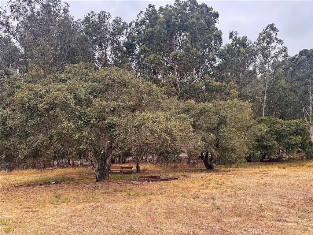 main property photo 28