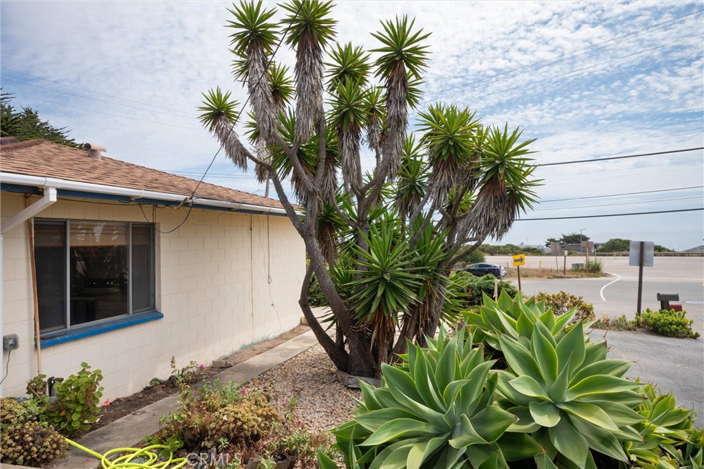 main property photo 18