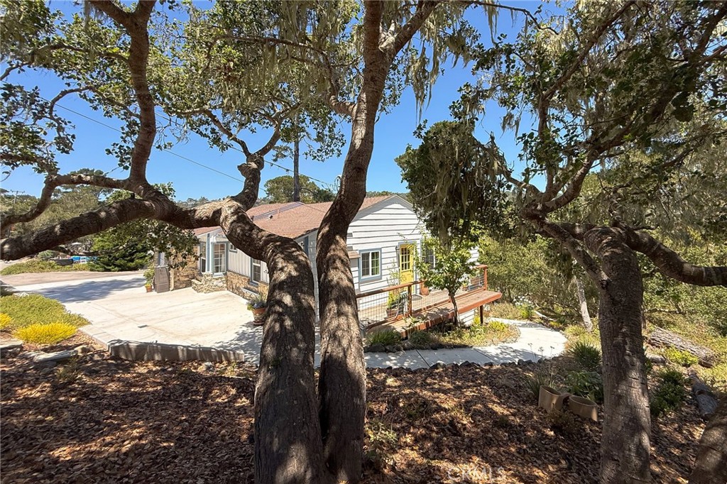 main property photo 49
