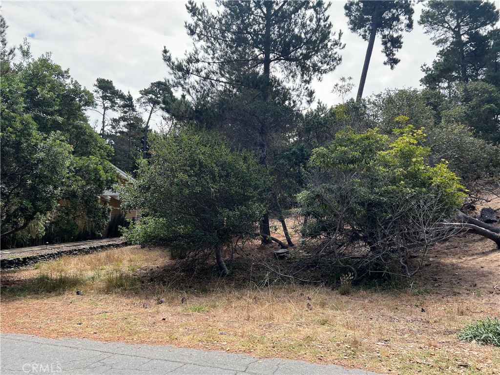 main property photo 11