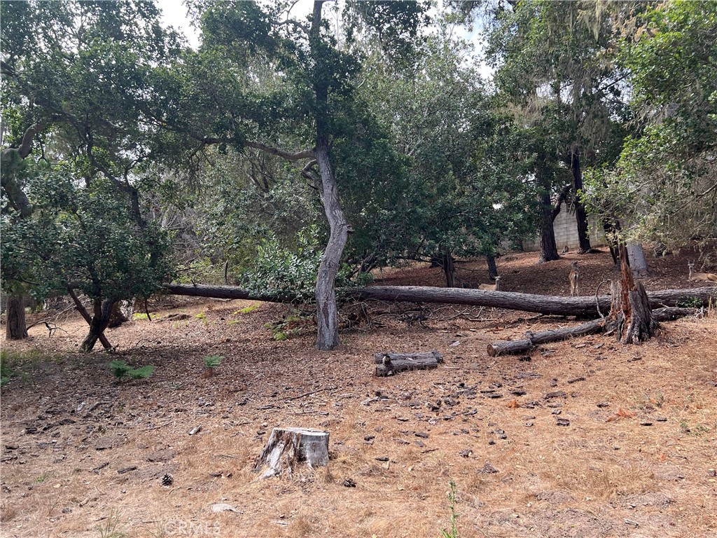 main property photo 13