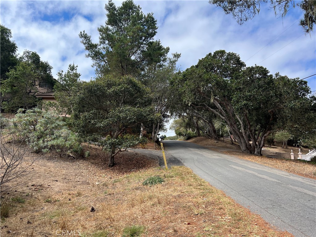 main property photo 3