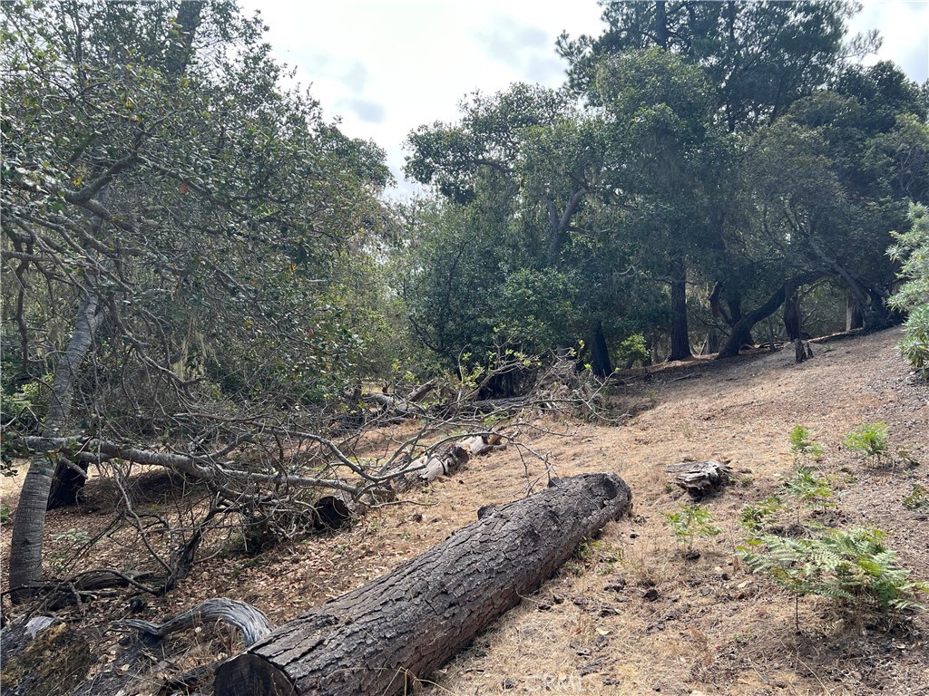 main property photo 8