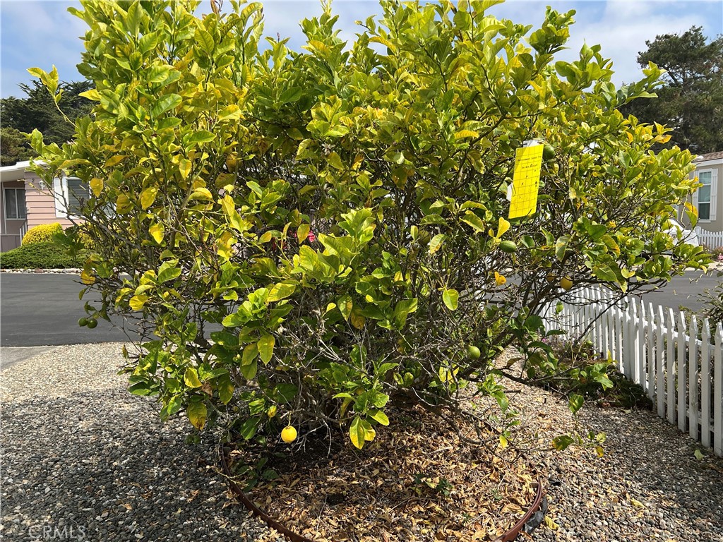 main property photo 59
