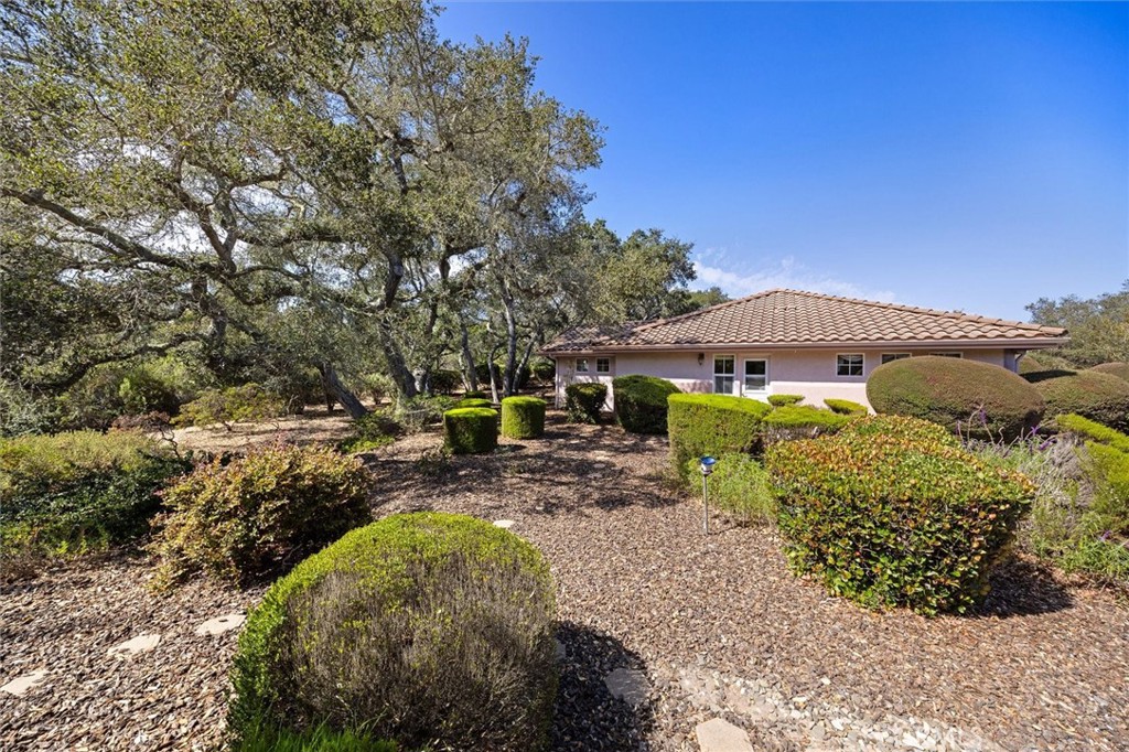 main property photo 41