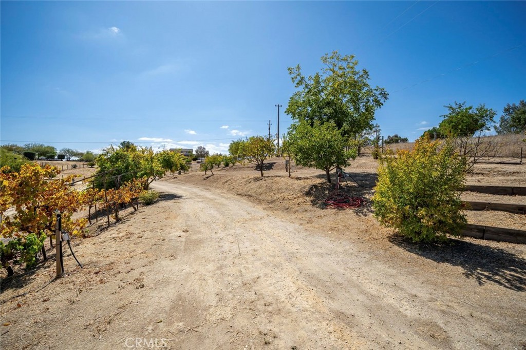main property photo 50