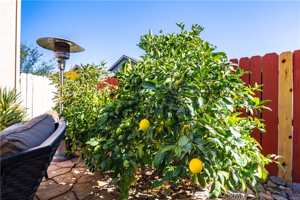 main property photo 50