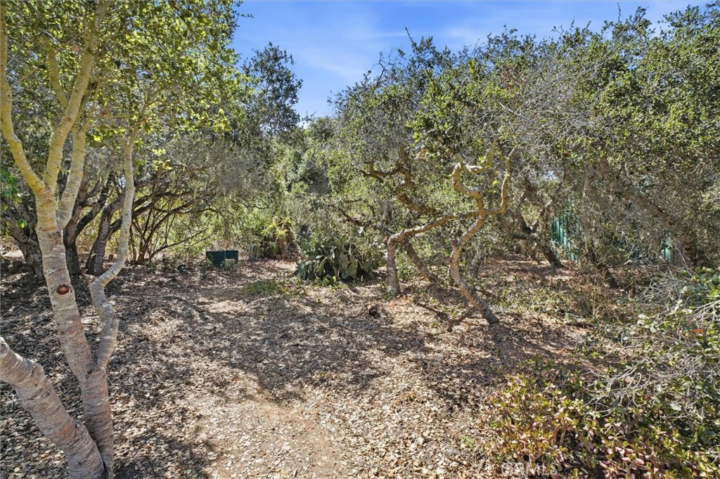 main property photo 38