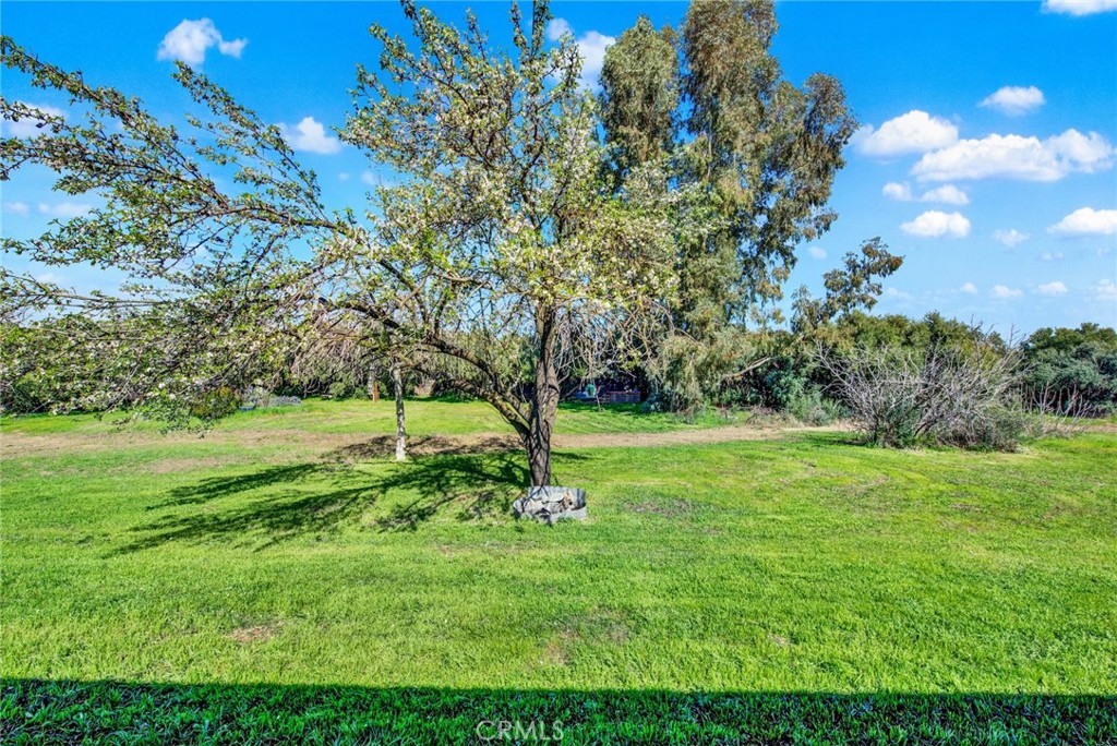 main property photo 55