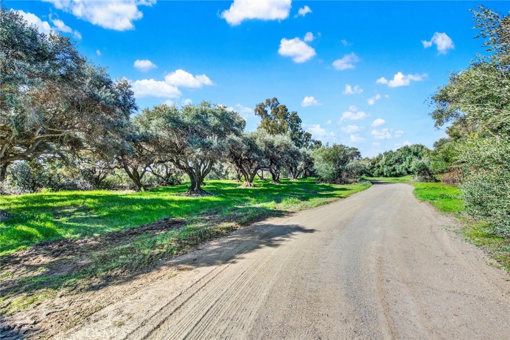 main property photo 63