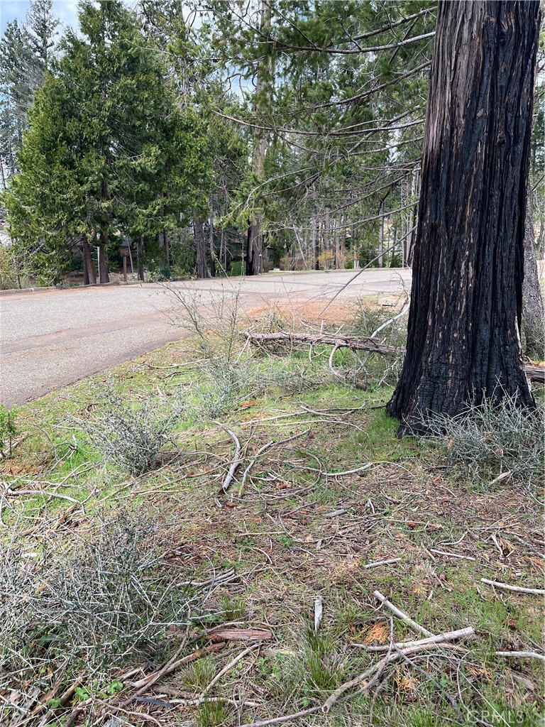 main property photo 8