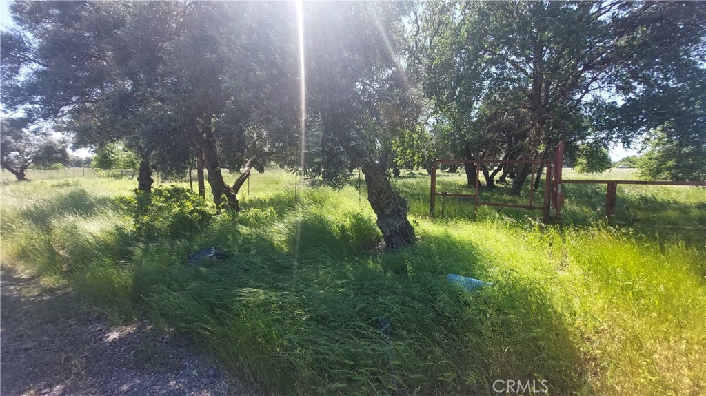 main property photo 14