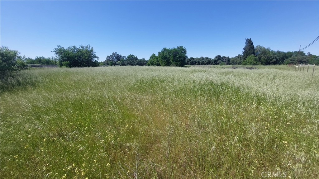 main property photo 57