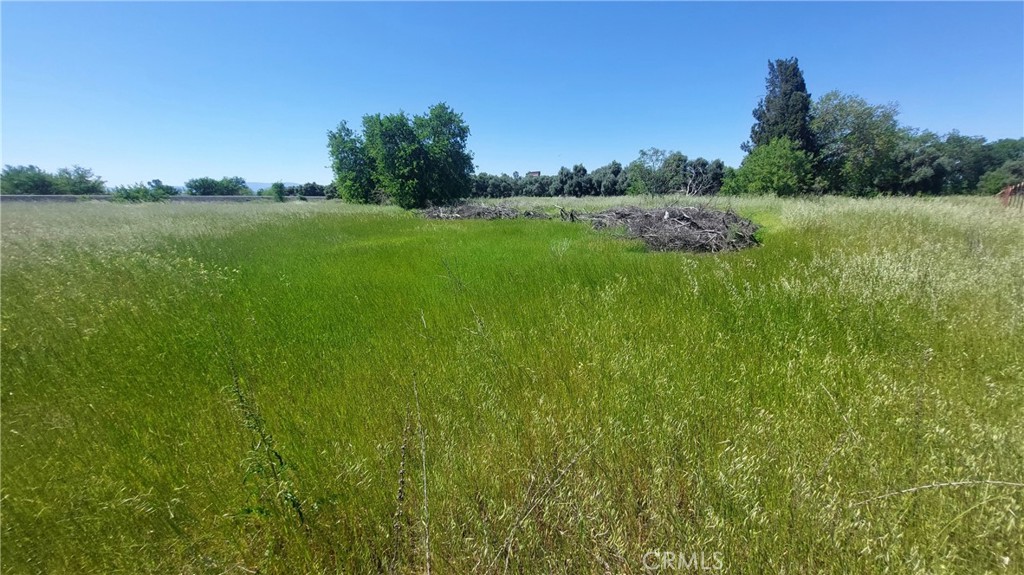 main property photo 58