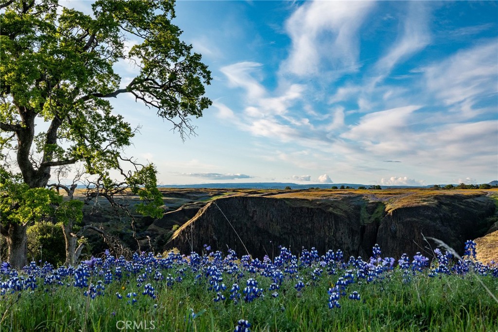 main property photo 70