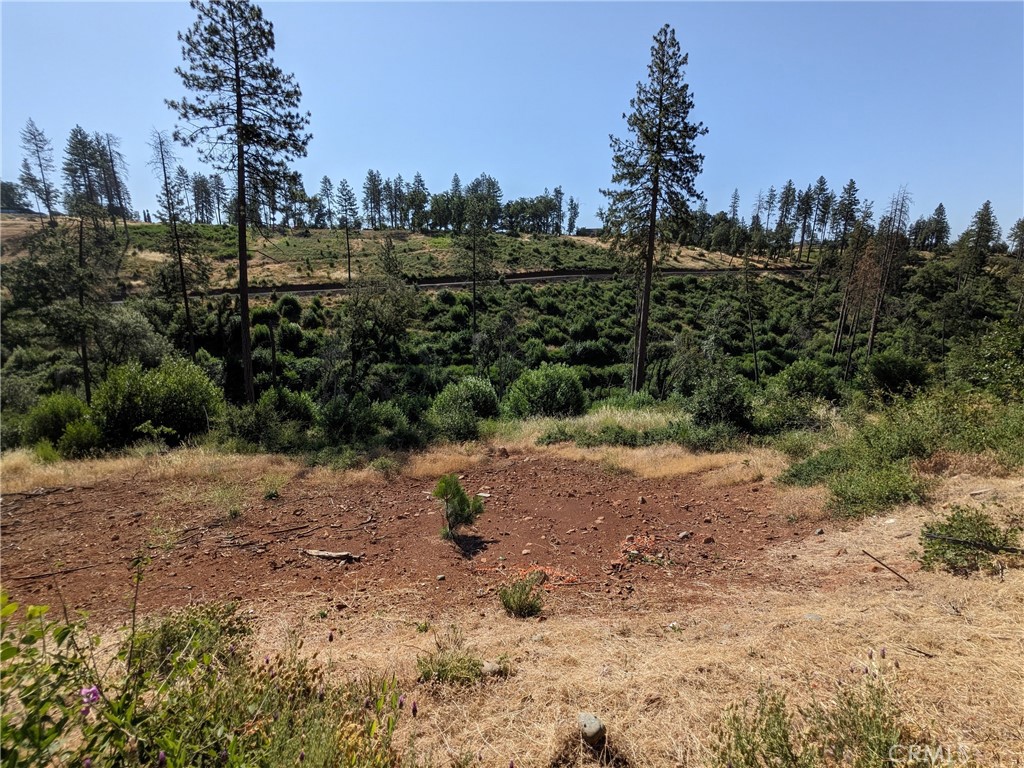 main property photo 12
