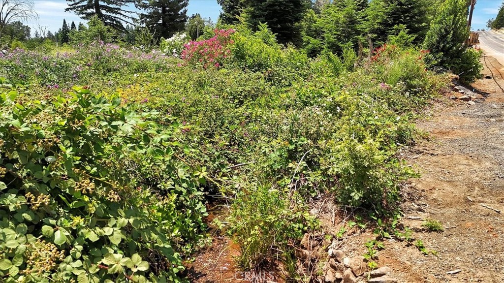 main property photo 15