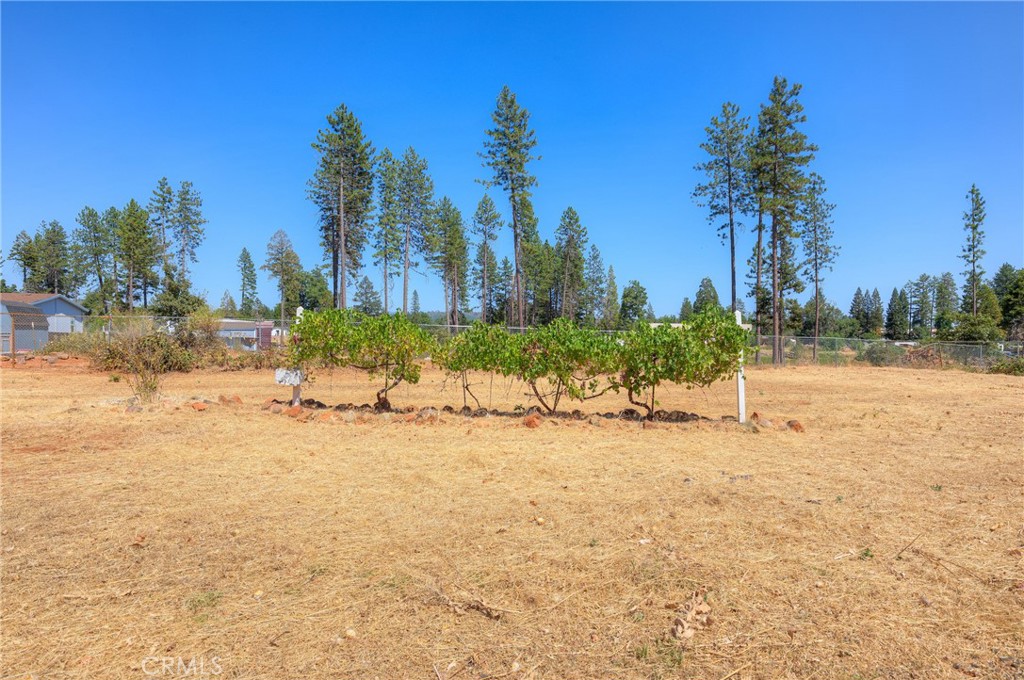 main property photo 56