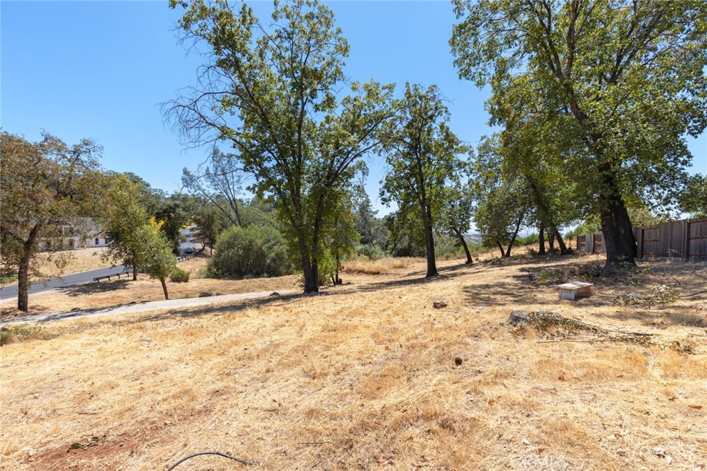 main property photo 13